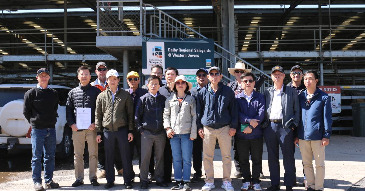 Why Vietnamese livestock producers were at Dalby Saleyards