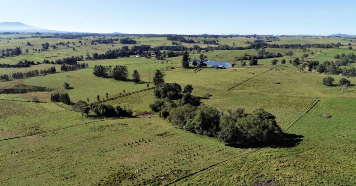 Four premium farms up for grabs