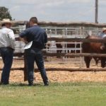 Ernest Henry mining operation celebrates 25 years at Cloncurry | The North West Star