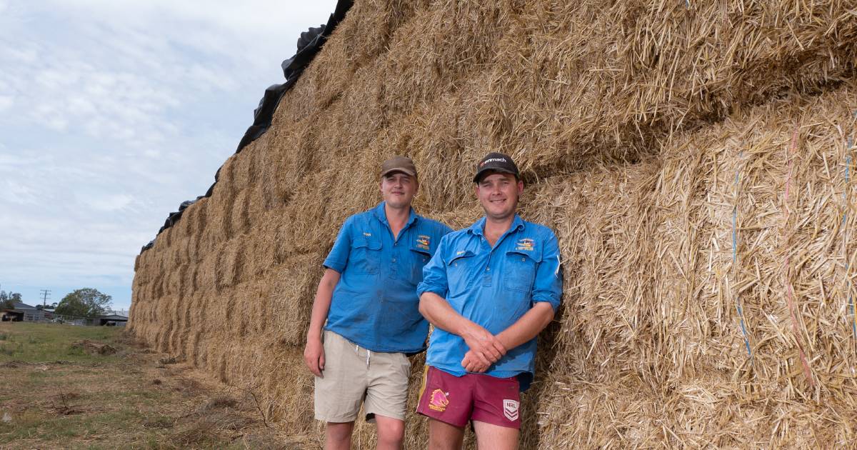 Straw pays for baled up brothers