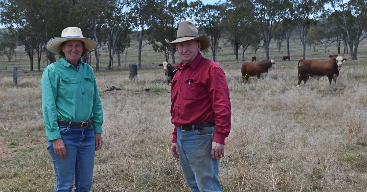 Mitchell Braford breeders Sue and Warren Wilson to | Queensland Country Life