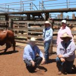 Aaron Kleier tipped out of record fifth PBR championship by Cody Heffernan | North Queensland Register