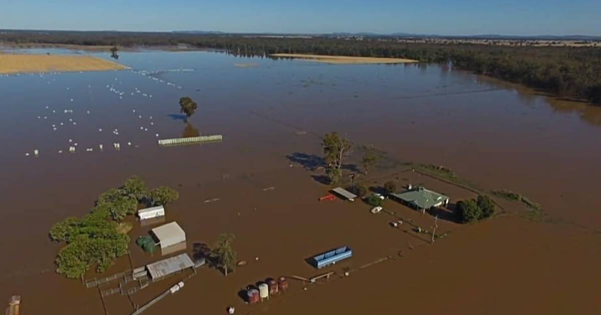 Forbes and Condobolin continue battle with floods | The Land