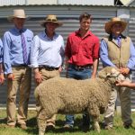 Tasmanian buyer secured top ram at Pomanara Merino sale