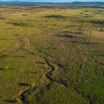 Quality cattle country makes $5.6 million