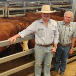 Floyde Neil sets 8hr crossbred world shearing record | Queensland Country Life