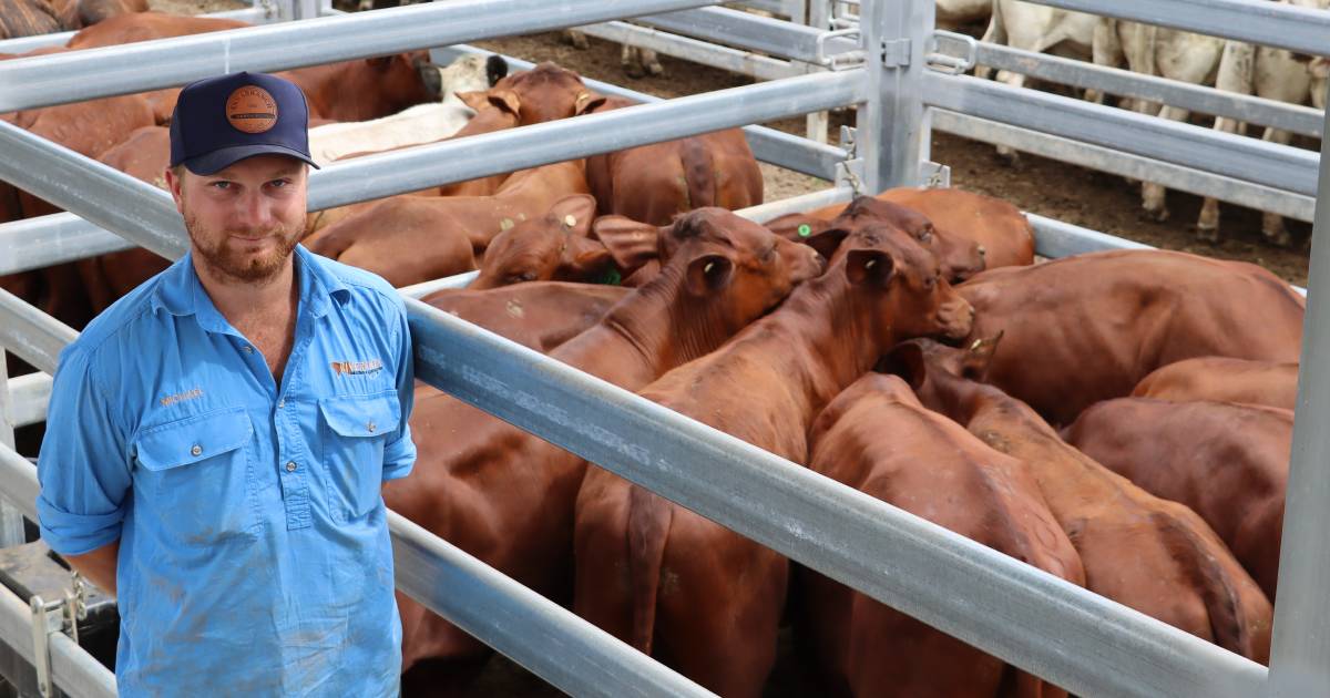 Biggenden sale beefs up