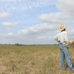 Corn, soybean producers critical factor in U.S. red meat success