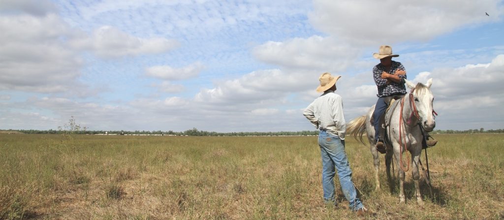 Recruitment: More ag jobs added to Australian apprenticeship priority list