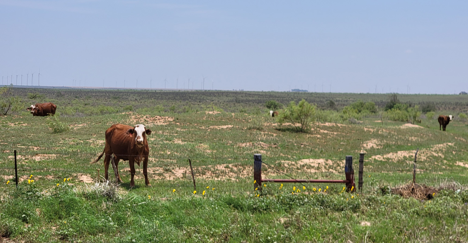 Pasture, range, forage (rainfall) insurance deadline nears