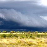 Cane cracks 1 million tonnes at Isis but delays expected