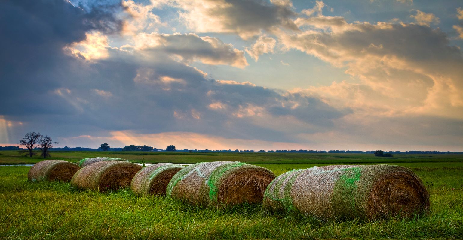 5 Tips to reducing hay loss