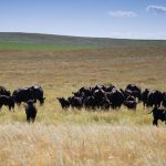 Young farmers heading south