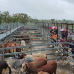 The Weekly Times Coles Farmer of the Year Awards 10-year anniversary in Canberra