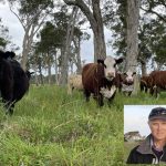 Rare fossil find on Queensland cattle property