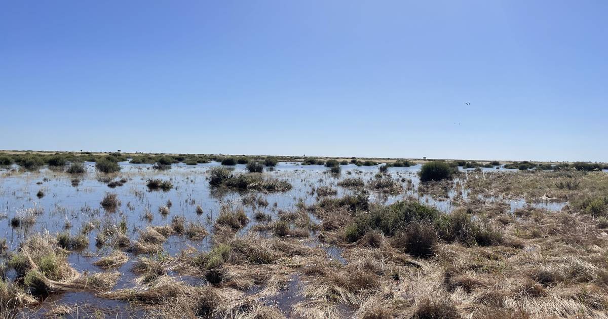 New rules to help farmers build resilience