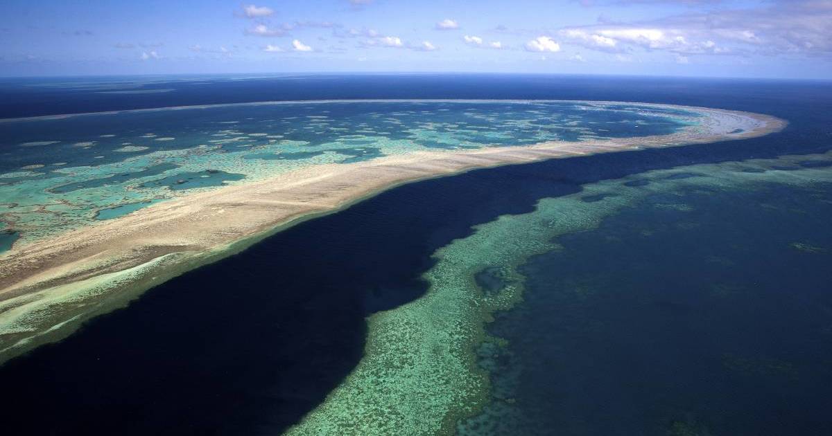 Talk of the Town: Farmers proactive in protecting our Reef