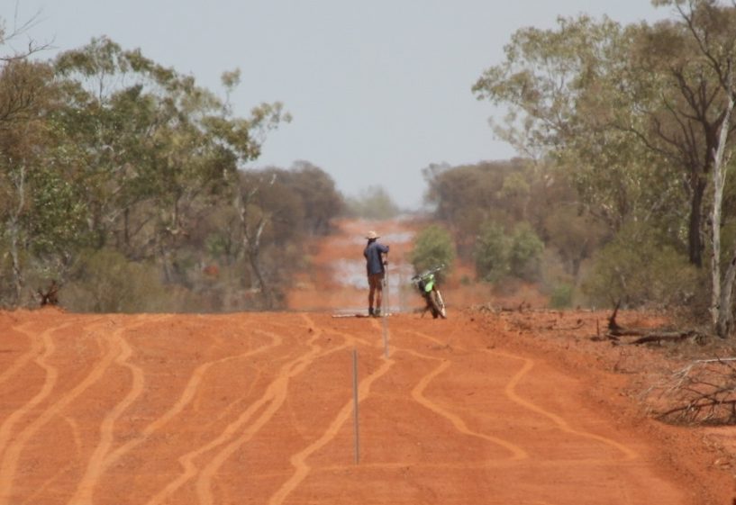 EU passes “not science based” deforestation laws