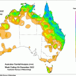 Conservation groups level clearing complaints at Qld beef producers