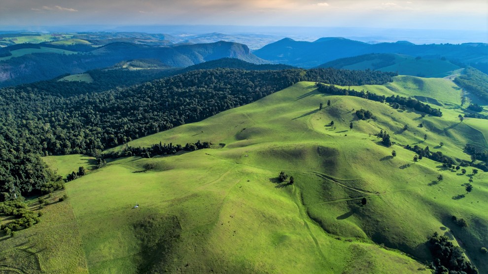 Are carbon rules inadvertently pushing landholders towards clearing?