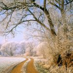 The Country Life Christmas message, by the Revd Lucy Winkett