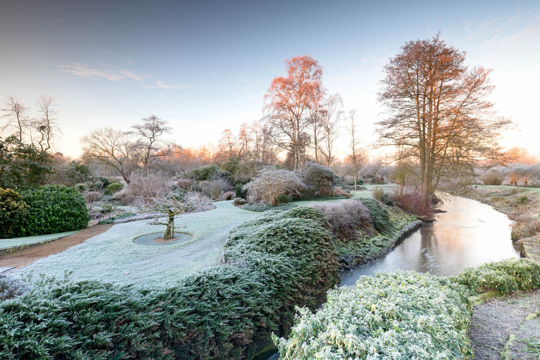 The garden at Fullers Mill, where ‘childhood delight in wild flowers meets the idea of making a garden’