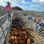 CSIRO report backs ag-based carbon methodologies