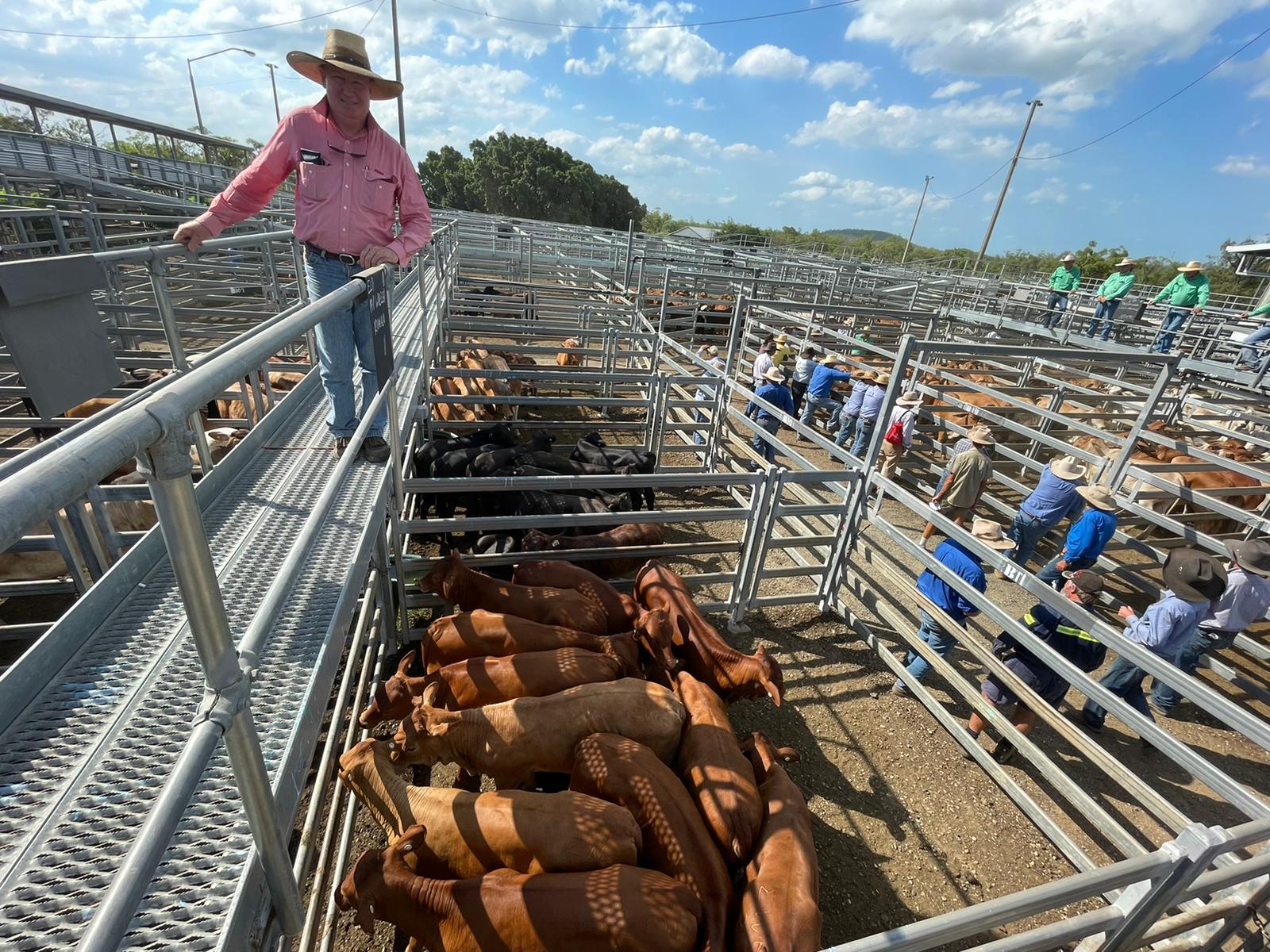 MLA’s 2022 cattle market year in review