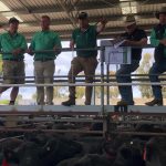 Expert panel report on Bradfield Scheme released | Queensland Country Life