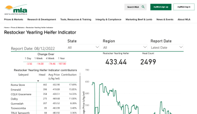 MLA completes market reporting review, launches ‘live’ indicators