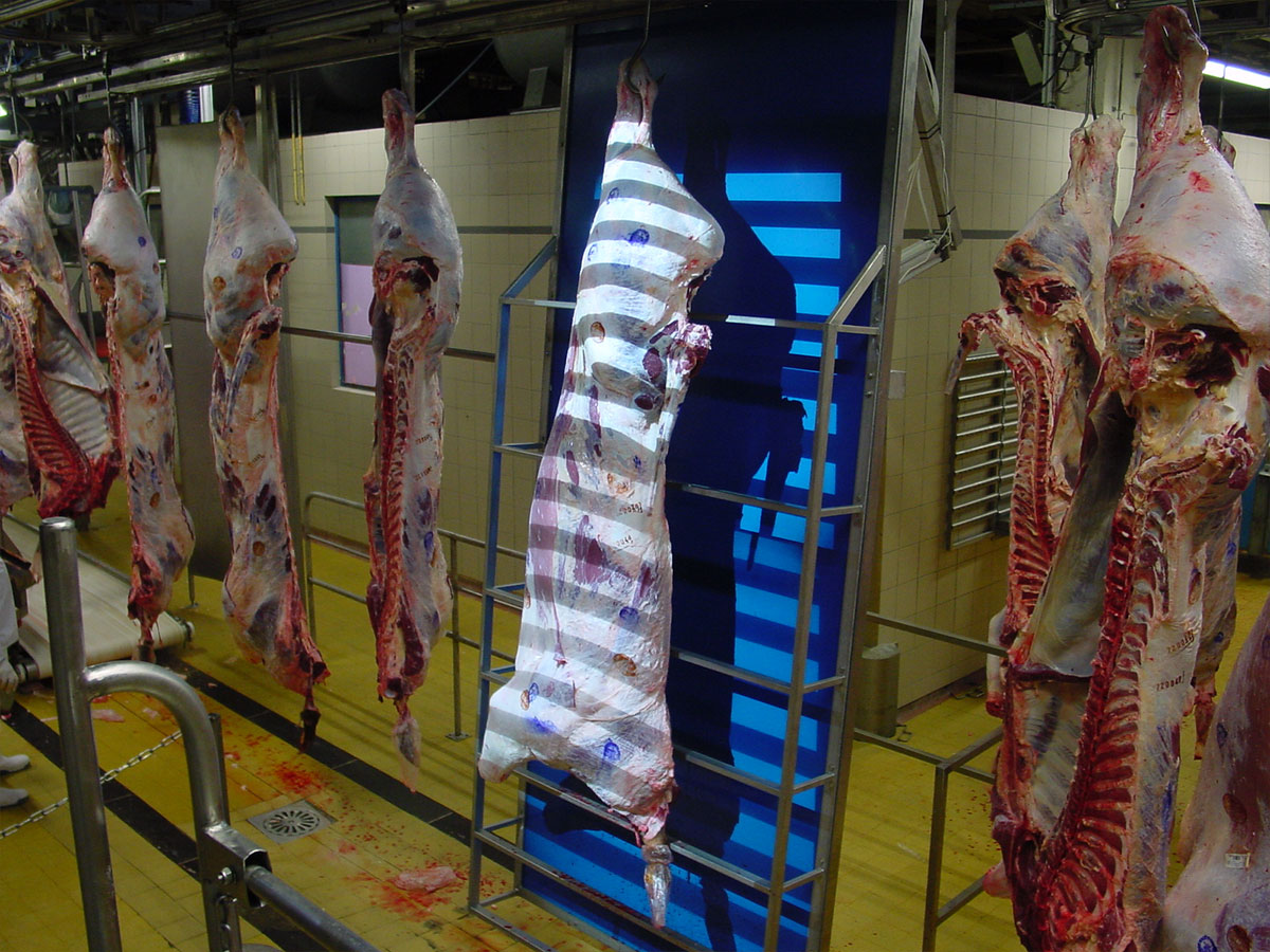 2023 poised to be year of great progress for objective beef carcase yield assessment