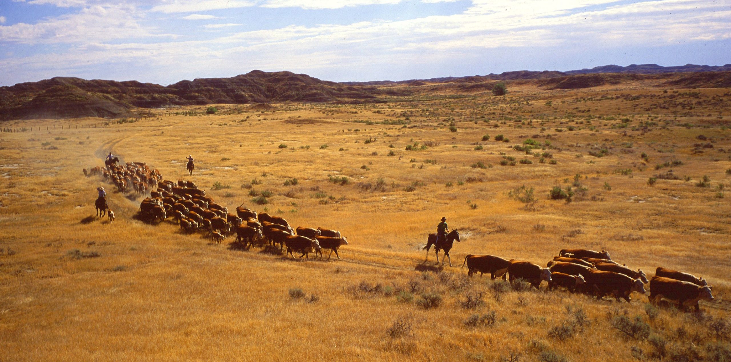 Cattlemen’s Update to feature market, research reports