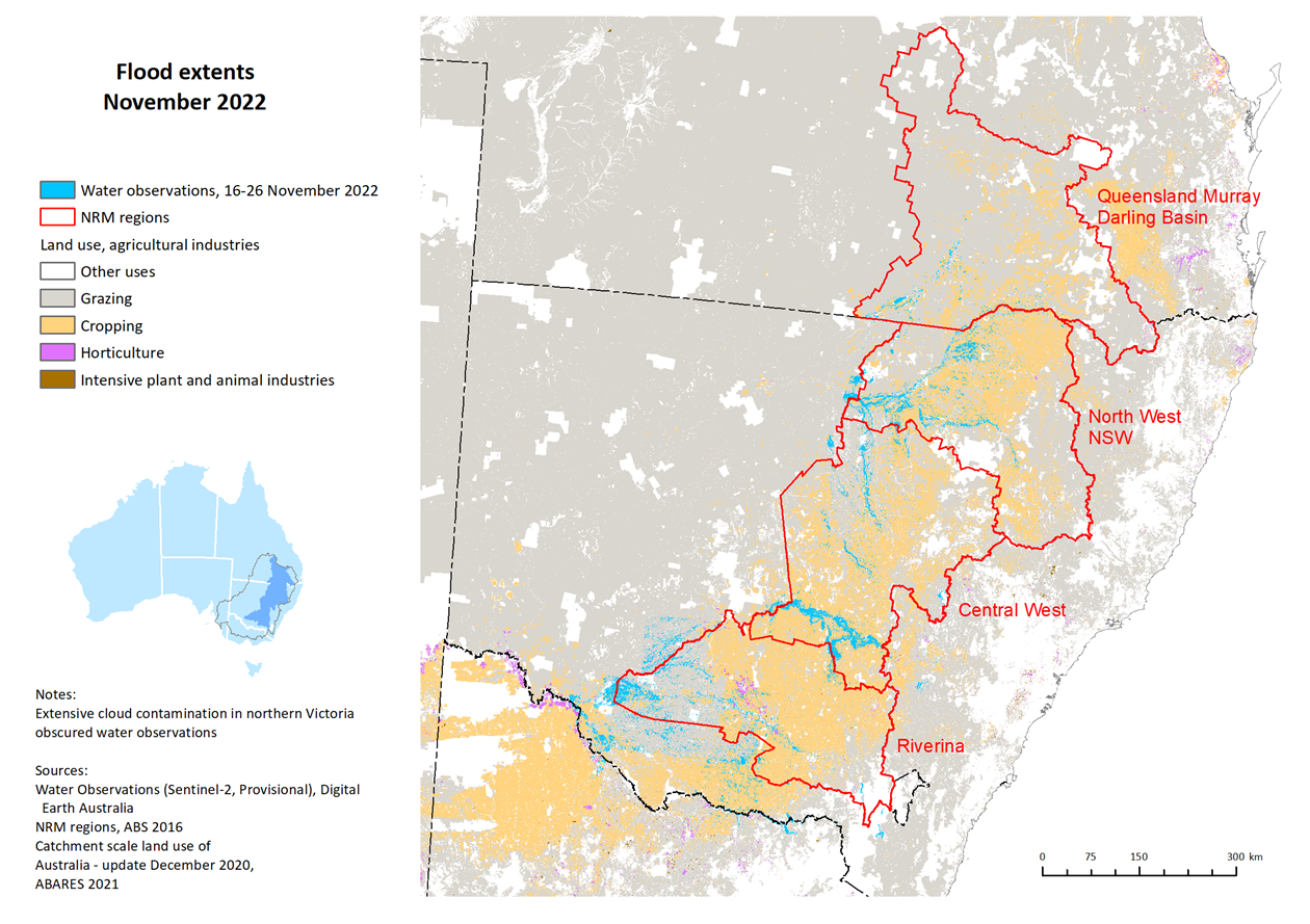 Too early to tell true cost of floods: ABARES