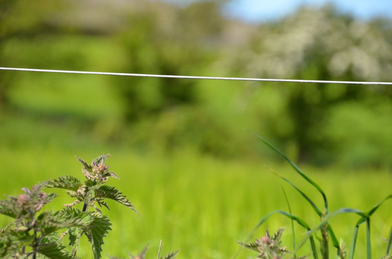 6 Tips For Proper Electric Fence Grounding