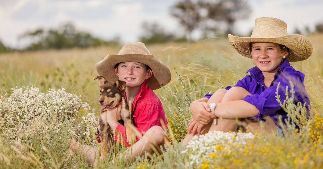 Tourists continue to be tempted by wildflowers at Quilpie | Queensland Country Life