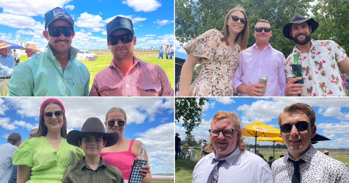 All the photos from Gunnedah's Christmas Hams meeting