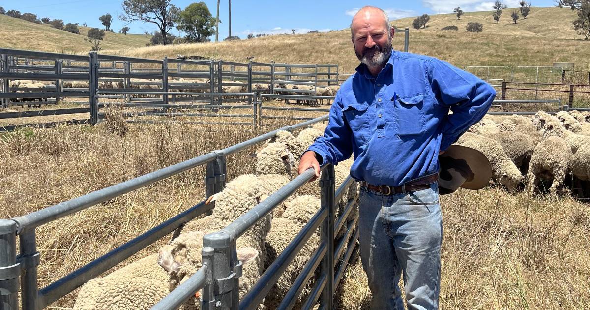 Clients keep Jason up with the latest in sheep breeding | The Land