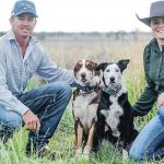 50-plus photos: Quirindi's Boxing Day races in full bloom