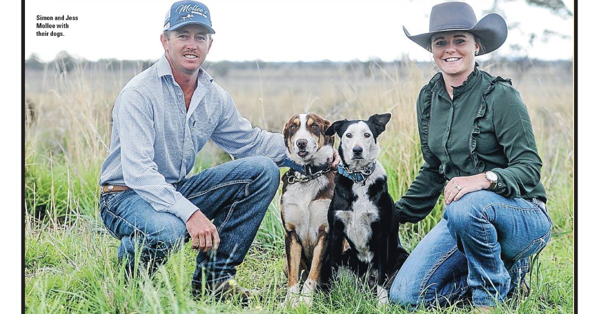 Look back at the best QCL covers of 2022