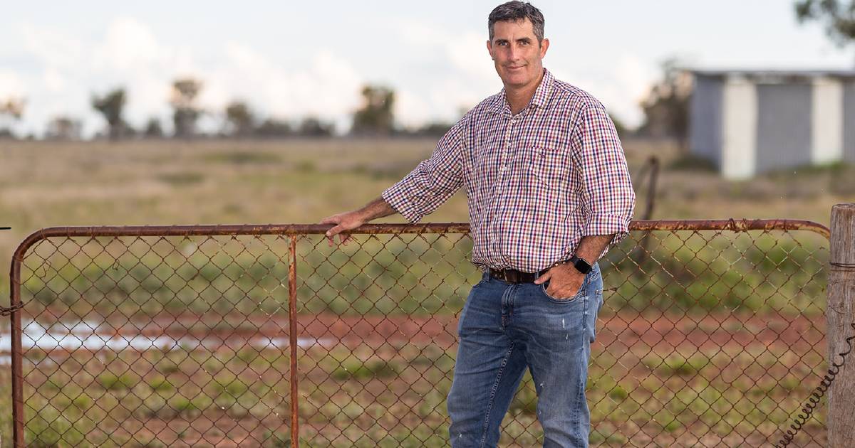 Charleville’s Ed Wade moves into grazing goats thanks to QRIDA first start loan | Queensland Country Life