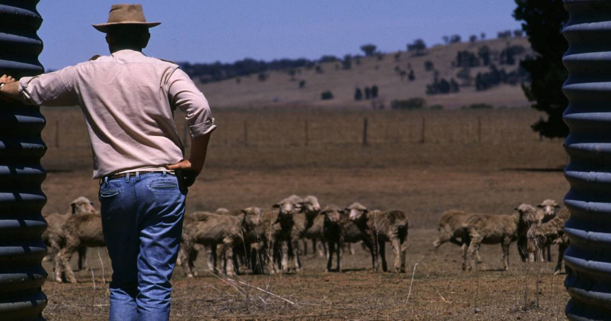 Tyranny of distance impacts mental health in the bush