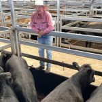 Dalby ASH sale ladies lunch | Free content