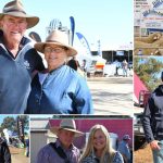 Inside one of Queensland's first medicinal cannabis flower farms