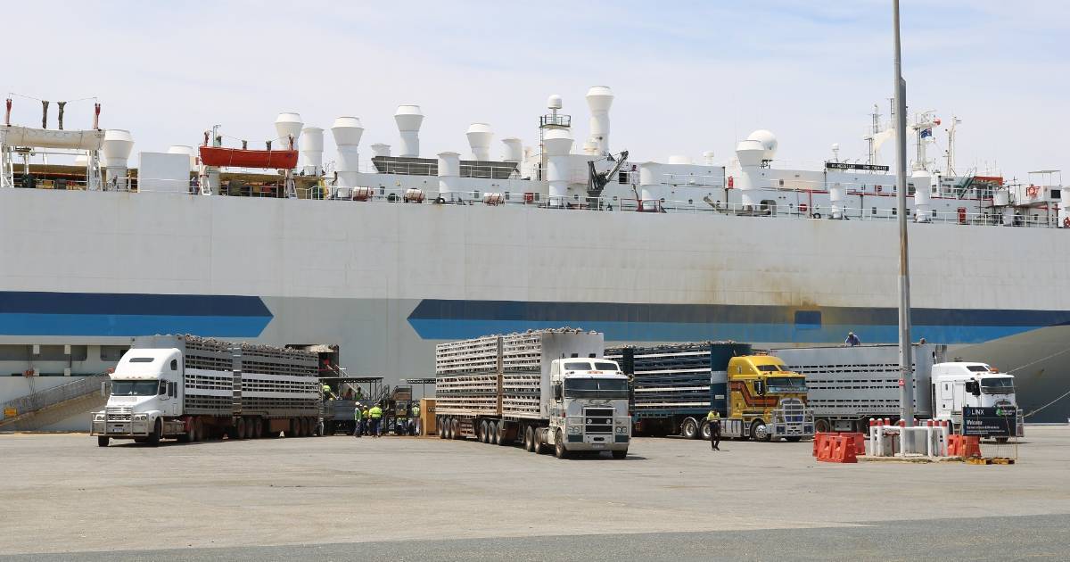 WA Labor's live export stance questioned