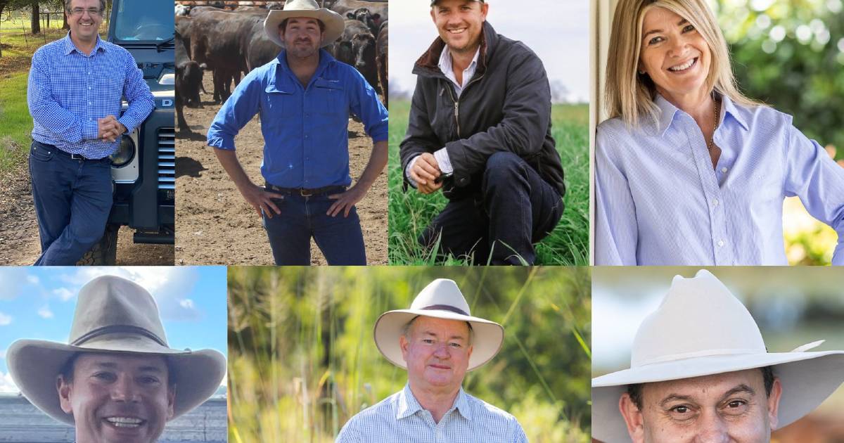 Meet Cattle Australia’s seven new board members | Queensland Country Life