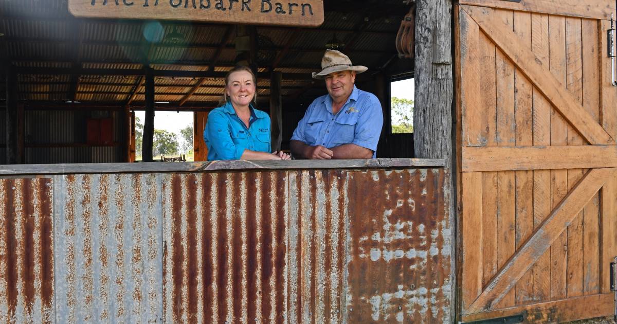 Country Homes: Mountive Homestead at Ramsay evolves into bed and breakfast and wedding venue | Queensland Country Life