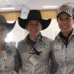 Guyra Angus steers make $2040 | The Land