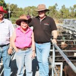 BEST OF 2022: Piggeries to paddocks a winner for Burnett graziers