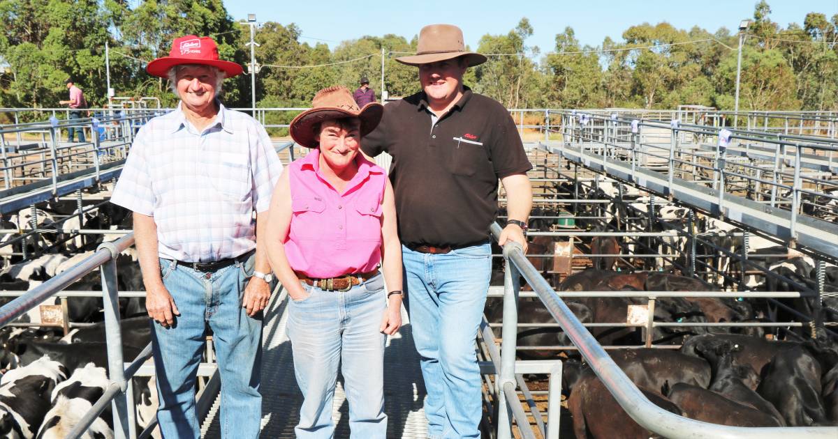 Strong finish for store cattle sale