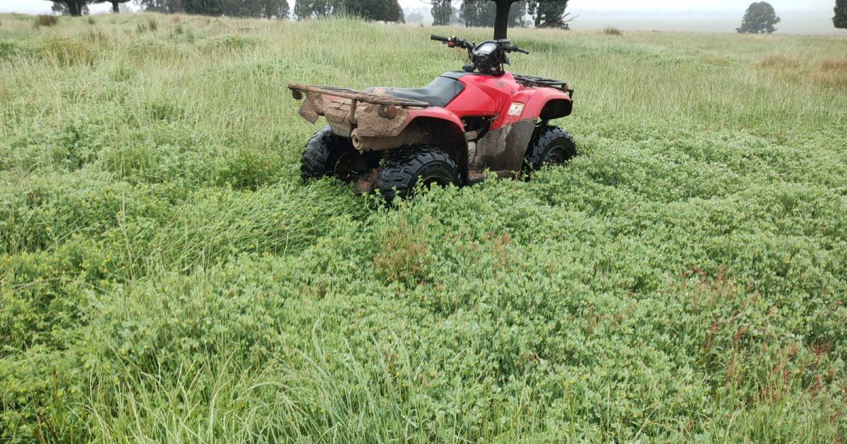 Boost to pasture legume seed supplies